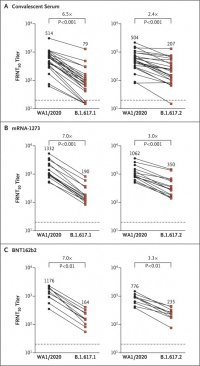 Neutralising-antibody responses against the WA1/2020, B.1.617.1, and B.1.617.2 variants.