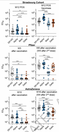 Sensitivity of SARS-CoV-2 variants D614G, alpha, beta and delta to neutralisation by sera from convalescent individuals and vaccine recipients.