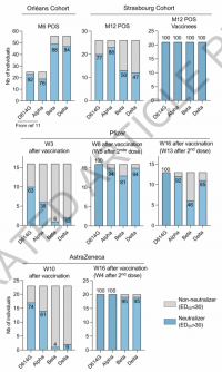 Fraction of individuals providing VOC neutralising sera from convalescents and vaccine recipients.