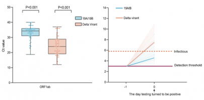 (Left) Ct values of the delta variant infections (n=62) and previous 19A/19B strains infections (n=63) in quarantinees at first positive test; (right) viral grow rates and relative loads leading up to first detection.