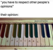 pianomeme-opinions.jpg