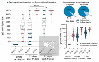 Immune response to SARS-CoV-2 Sputnik V Vaccine.