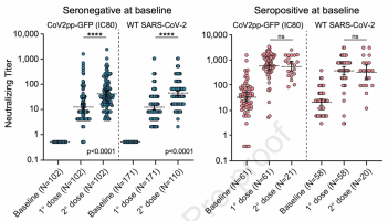 Neutralising capacity with and without prior SARS-CoV-2 infection after one and two doses of Sputnik V vaccine.