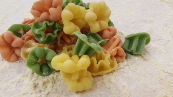 tricolor-fiori-pasta-rea.jpg