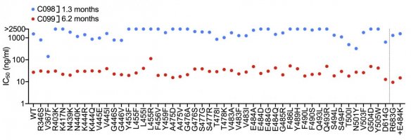 Somatic mutation in a class 1 antibody - an example of neutralisation potency to various SARS-CoV-2 pseudotype variants.