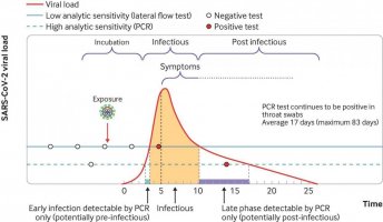 infectiontimeline.jpg