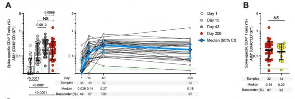 (A) Longitudinal spike-specific CD4+ T cells in mRNA-1273 vaccinee. (B) Comparison of spike-specific CD4+ T cell frequencies between vaccinees (red) and COVID-19 convalescent donors (yellow).