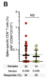 Comparison of spike-specific CD8+ T cell frequencies between vaccinees (red) and COVID-19 convalescent donors (yellow).