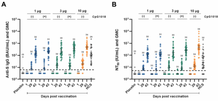 Distribution and GMC of anti-S IgG (BAU/mL) in placebo, vaccine groups and HCS controls (A), distribution and GMC of NT50 by PNA (IU/mL) in placebo, vaccine groups, and HCS controls (B).