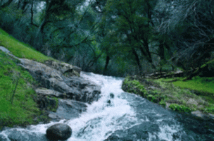 waterfall-stream.gif