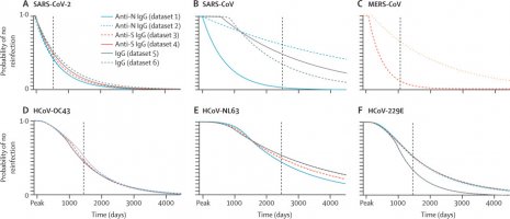 Probability of remaining free of reinfection over time and median times to reinfection for human-infecting coronaviruses SARS-CoV-2, SARS-CoV, MERS-CoV, HCoV-OC43, HCoV-NL63, and HCoV-229E.