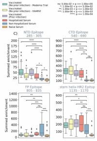 Box plots of summed values of enrichment of wild-type peptides by serum antibodies for each sample within each of the four epitope sites considered.