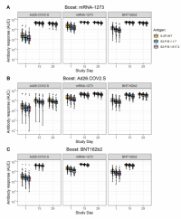 IgG serum binding antibody response to wildtype, alpha and delta VOCs for each booster/original series combination.