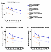 Binding and pseudo-neutralising antibody titres over time following BNT162b2 and AZD1222/ChAdOx1 vaccination with and without prior SARS-CoV-2 infection.