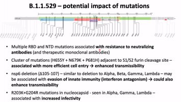 B.1.1.529 - potential impact of mutations.