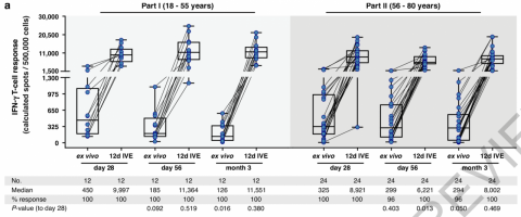 CoVac-1-induced long-term T-cell responses.