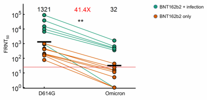 Neutralisation reduction for BNT162b2 sera versus omicron/B.1.1.529 relative to early-type D614G.