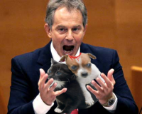 Tony blair eating puppy.png