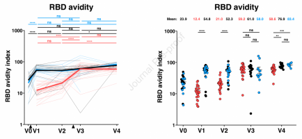 RBD avidity of vaccine induced antibodies.