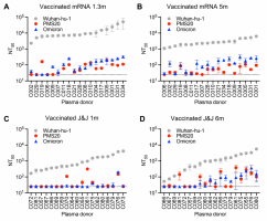 Plasma neutralising titres against early-type Wuhan-hu-1, PMS20 and omicron/B.1.1.529 variants in vaccine recipients at the indicated months post-final-vaccination dose.