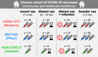 Overview of study cohorts.