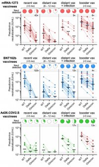 Neutralisation titres (in WHO IU/mL) of wild type (WT), delta, and omicron pseudoviruses for mRNA-1273, BNT162b2, or Ad26.COV2.S vaccinees. Note that the alternate colour trajectories in the booster results indicate heterologous booster: (1/33) mRNA-1273 boost for original BNT162b2, (6/30) BNT162b2 boost for original mRNA-1273 and (7/8) mRNA-1273 boost for original Ad26.COV2.S recipients.