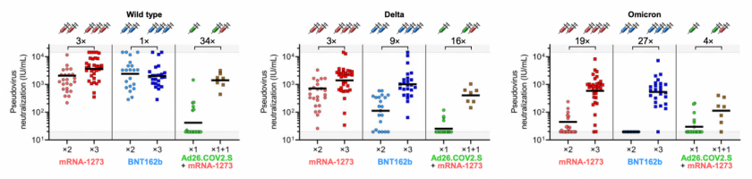 Cross-reactivity of neutralising antibody response to mRNA vaccine booster relative to primary vaccination series.