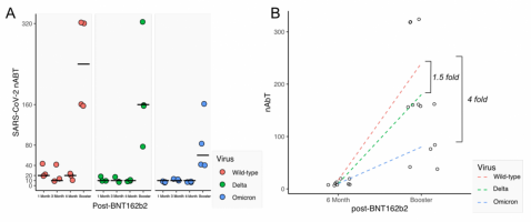 (A) The neutralising antibody titre of SARS-CoV-2 variants delta/B.1.617.2, omicron/B.1.1.529 compared to wild-type (A.2.2); (B) The sera from four individuals collected six months after two doses of BNT162b2 and four weeks after a third boosting doses.