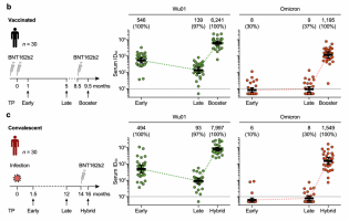 SARS-CoV-2 neutralising serum activity in vaccinated and convalescent individuals.