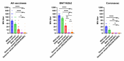 Comparison of microneutralisation antibody titres between the Omicron variant and other variants or ancestral SARS-CoV-2 virus. All serum specimens were collected 56 days after the first dose of vaccine.