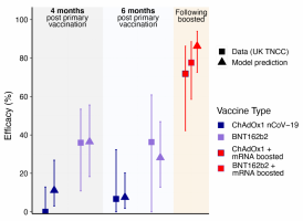 Comparison between estimates of vaccine efficacy against omicron from a UK TNCC study (squares) and this model estimate (triangles) at four months, six months and after boosting with an mRNA vaccine for AZD1222 (blue) and BNT162b2 (purple).