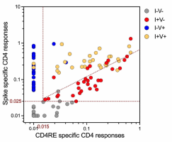 COVID-19 clinical classification scheme using SARS-CoV-2-specific CD4+ T cell responses, comparing the study groups.