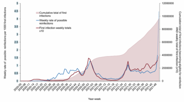 Weekly rate of possible COVID-19 reinfections with cumulation of first infections becoming eligible for reinfection and weekly total of first infection.