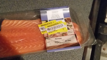 salmon.png