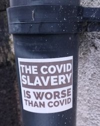 covidiotsticker281221b.jpg