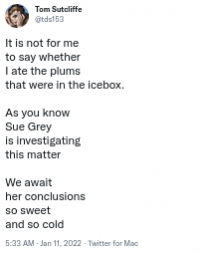 plumpoem.png