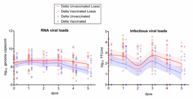 RNA viral load (left; genome copies) and infectious viral loads (right; Focus Forming Units, FFU) measured for vaccinated and unvaccinated delta infected patients at different days post onset of symptoms (dpos).