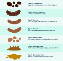 bristol-stool-chart-08.png