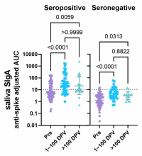 Comparison of anti-SARS-CoV-2 spike mucosal IgA (SIgA) titres in saliva between samples collected during the three different timepoints: pre, 1-100 days post vaccination (DPV), over 100 DPV.