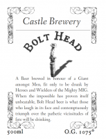 Bolt Head 2013-medium.png