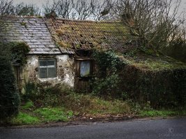 irish-hovel-octane-creative.jpg