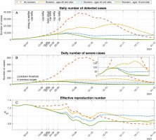 The effect of the booster campaign on detected cases, severe cases, and the effective reproductive number. Model projections for epidemic spread in counterfactual scenarios in which no boosters are administrated (dashed curve), boosters are administrated only to individuals of age 60 and older (dash-dotted curve), boosters are administered only to individuals of age 40 and older (dotted curve), as well as a scenario that accounts for the actual numbers of boosters that were administered until the end of November 2021 (solid curve).