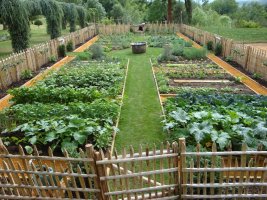 jardin-fleuriste-et-potager.jpg