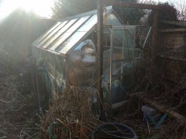 greenhouse beforeremoval.jpg