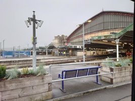 Picture of grey temple meads