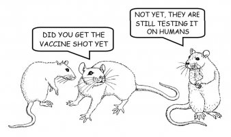 Vaccine - Still Testing On Humans.jpg