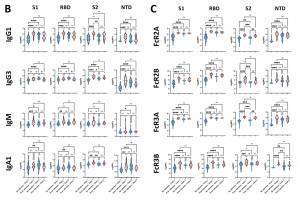 For each of  naïve infected and previously infected individuals after 1st and 2nd vaccine doses: (B) Isotype titres for subclasses specific for S1, RBD, S2, and NTD; (C) Fc-receptor binding titres for those same spike regions.