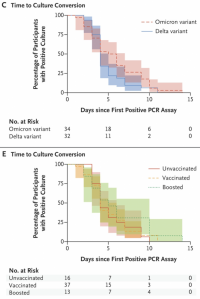 Viral-load decay from the time of the first positive polymerase-chain-reaction (C) to a negative viral culture according to viral variant and (E) according to vaccination status.