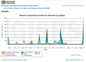 Number of specimens positive for influenza by sub-type, Australia, 2012-2022.