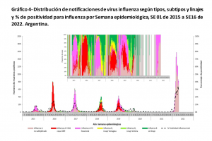 Distribution of notifications of viral influenza types/sub-types/lineages and positivity rates, Argentina, 2015-2022.